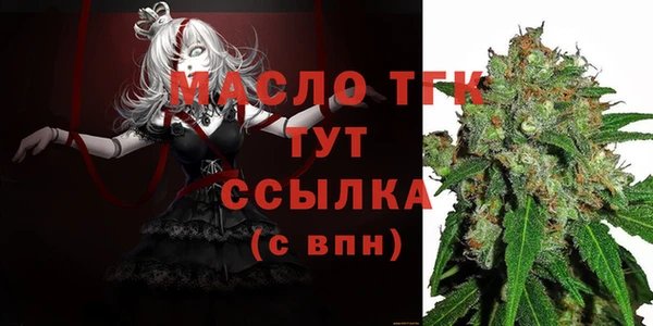 индика Аркадак