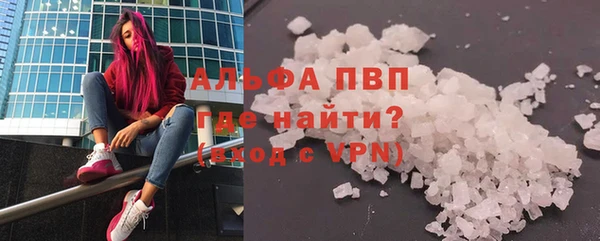 индика Аркадак