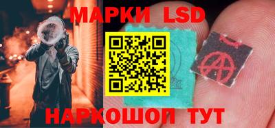 хмурый Сланцы