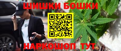 индика Гагарин