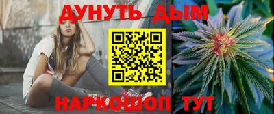 индика Гагарин